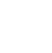 Building Surveys