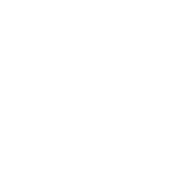 RICS HomeBuyer Report